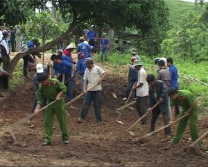 Thanh niên tham gia xây dựng nông thôn mới