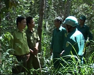 Tuần tra quản lý bảo vệ rừng