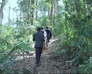 Người dân tuần tra bảo vệ rừng