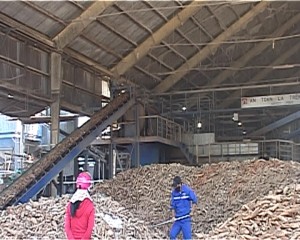 Nhà máy sản xuất tinh bột sắn