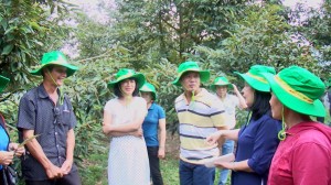 Tham quan vườn cây ăn quả sản xuất theo tiêu chuẩn VietGap