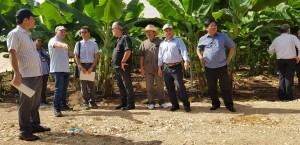 Đoàn công tác tỉnh Kon Tum thăm nông trại chuối