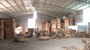 Doanh nghiệp chế biến gỗ xuất khẩu